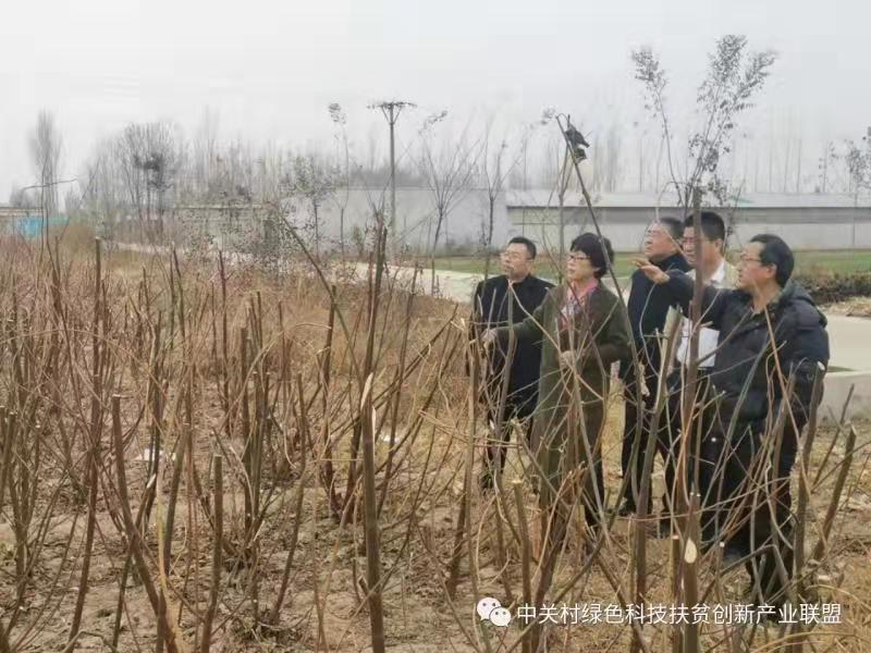 微信图片_20191203112238.jpg